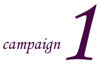 campaign4